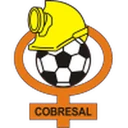 Escudo de Cobresal